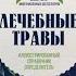 Татьяна Ильина Лечебные травы Иллюстрированный справочник определитель