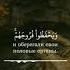 Чтец Идрис Абкар Сура 24 Ан Нур Свет аят 30 Красивое чтение Кур ана