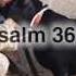 Psalm 36 6