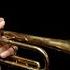 What A Wonderful World Play With Me N 79 Andrea Giuffredi Trumpet