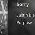 Justin Bieber Sorry Audio