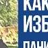 Как Я Избавился От Панических Атак ВСД и Тревоги Павел Федоренко