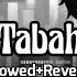 Tabah Slowed Reverb Mohit Chauhan