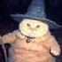 Wizard Cat But It Gets Slower