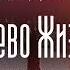 Аудиокнига Фантастика Кузьменко Владимир Древо Жизни Книга 1 часть 11