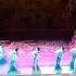 Beautiful Chinese Classical Dance 5 采薇舞 E 720p HD