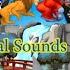 Animal Sounds Song Best Animal Sounds Song Baby Song Kids Song