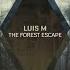 Luis M The Forest Escape