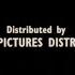 Buena Vista Pictures Distribution Inc Walt Disney Pictures 1994