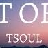 TSoul Best Of Me Lyrics