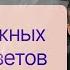 Пять важных советов Дизайнеру не про Дизайн