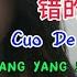 错的人是我 Cuo De Ren Shi Wo 花姐 Hua Jie