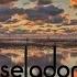 D Nox Beckers Salt Original Mix Selador