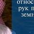 Правильное мнение относительно поднятия рук перед поясными и земными поклонами в намазе