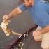 Watch A Fisherman Catch And Rescue Two Kittens Swimming In River