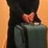 Geno S Heavy Suitcase