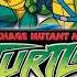 TMNT 2003 Fast Forward Theme Song Season 6