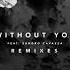 Avicii Feat Sandro Cavazza Without You Rob Adans Remix Explicit