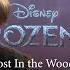 Various Artists Lost In The Woods In 27 Languages From Frozen 2