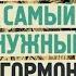 Дофамин самый нужный гормон Как молекула управляет человеком Дениэл Либерман Аудиокнига