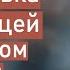 СТАЖИРОВКА ЗА ГРАНИЦЕЙ в топовом месте Пошаговая инструкция успеха