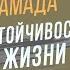 Ирина Хакамада о настойчивости счастье и смысле жизни