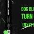 Dog Blood Turn Off The Lights NXSTY FROST TOP REMIX