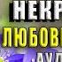 Жена проклятого некроманта Анна Минаева Рыжая Ехидна Аудиокнига