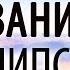 Последние времена Откровение Толкование Апокалипсиса Пестов Николай