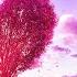 Beautiful Romantic Piano Music For Relaxing Happy Valentine S Day