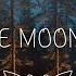 Under The Moonlit Pines Indie Folk Playlist