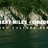 Robert Miles Children Nikko Culture Afro Mix