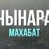 Чынара Махабат