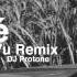 Beyonce Deja Vu House Remix