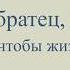 Нежное поздравление брату с днем рождения от сестры Super Pozdravlenie Ru