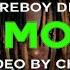 Fireboy DML Timoti Lyric Video