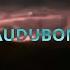 AUDUBON UICIDEBOY Lyrics No Ad Lib Intro