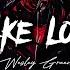 Wesley Green Fake Love Official Lyric Video