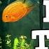 A MUST WATCH For New Fish Keepers FIRST AQUARIUM K F K F K