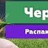 Черкизово I Колбаса и сосиски из курицы и индейки I Петелинка Мясная Губерния Империя вкуса