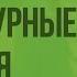 Дикорастущие и культурные растения Видеоурок по окружающему миру 2 класс