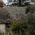 Abandoned HOBBIT HOUSE Secluded In The Swedish Countryside