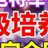 原神 雷电将军荣登王座 最强充能主C雷神全方位培养攻略 Genshin