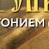 Толкование Евангелия с митр Антонием Паканичем Среда 20 ноября 2024 года