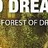 Guided Meditation For Lucid Dreaming The Forest Of Dreams