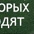 Лабковский Секрет Женщин от Которых не уходят