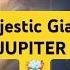 Fact Majestic Giant JUPITER Shorts