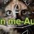 Animal In Me Autumn J Lyrics