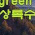 Evergreen Tree Cliff Richard 상록수 클리프 리차드 1960 Lyrics가사 해석