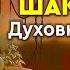 684 Духовный Учитель Будда Шакьямуни Сиддхартха Гаутама Прямой эфир с Духом